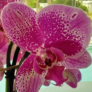 Meet your Posher, Joanne